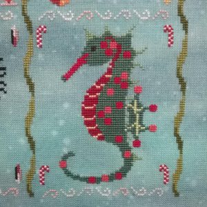 Seahorse of the Month - December Holly