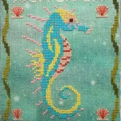 Seahorse of the Month - August Kona