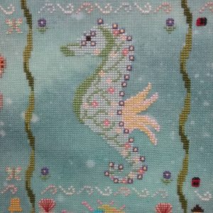 Seahorse of the Month - May Flora