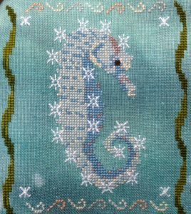 Seahorse of the Month - January Snowflake