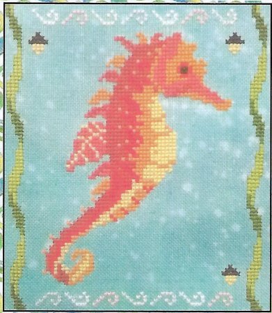 Seahorse of the Month - September Maple